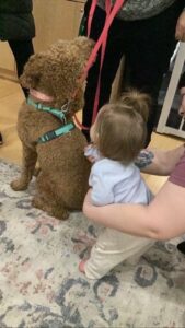 Every Room Talked About Dogs This Week