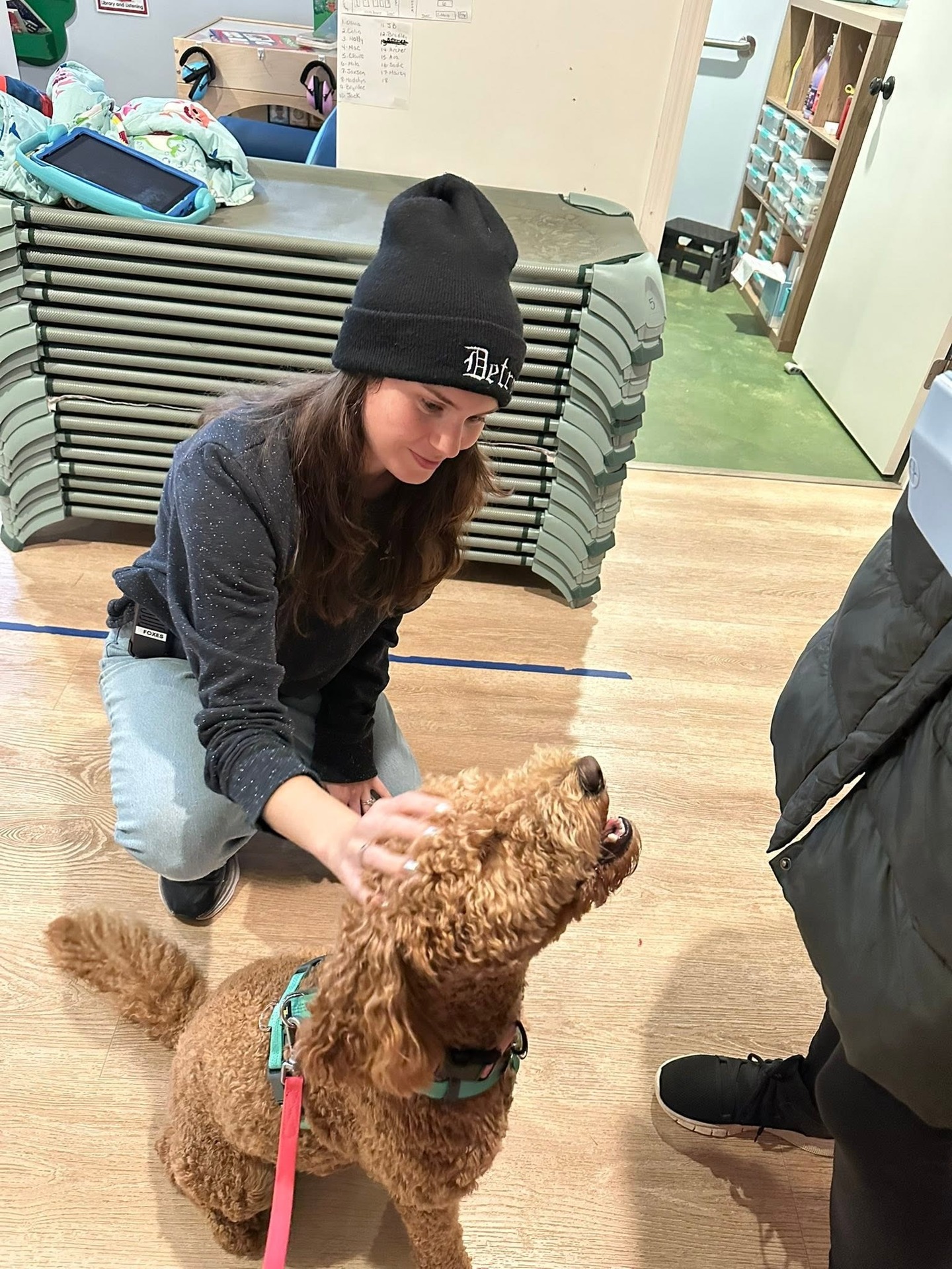An adult kneels to pet a curly-haired dog wearing a harness in a preschool classroom.